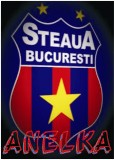 anelka