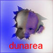 genialii_dunari